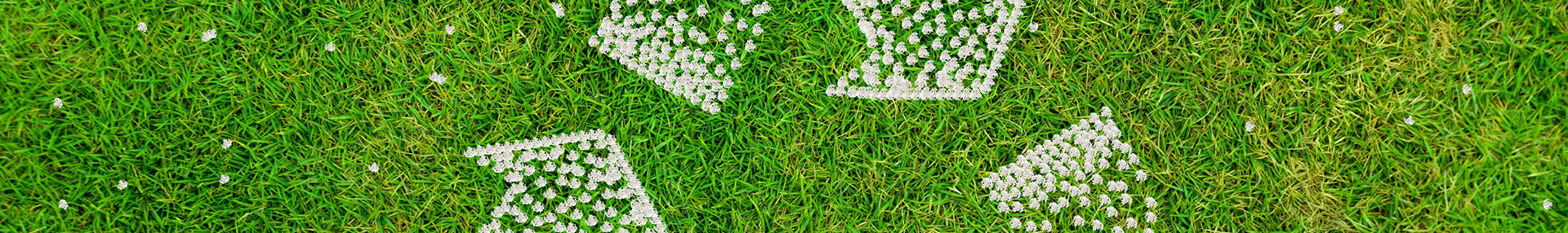 ���ɷ���