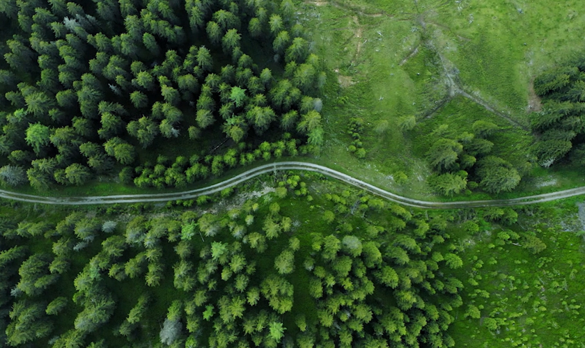 ��������̬