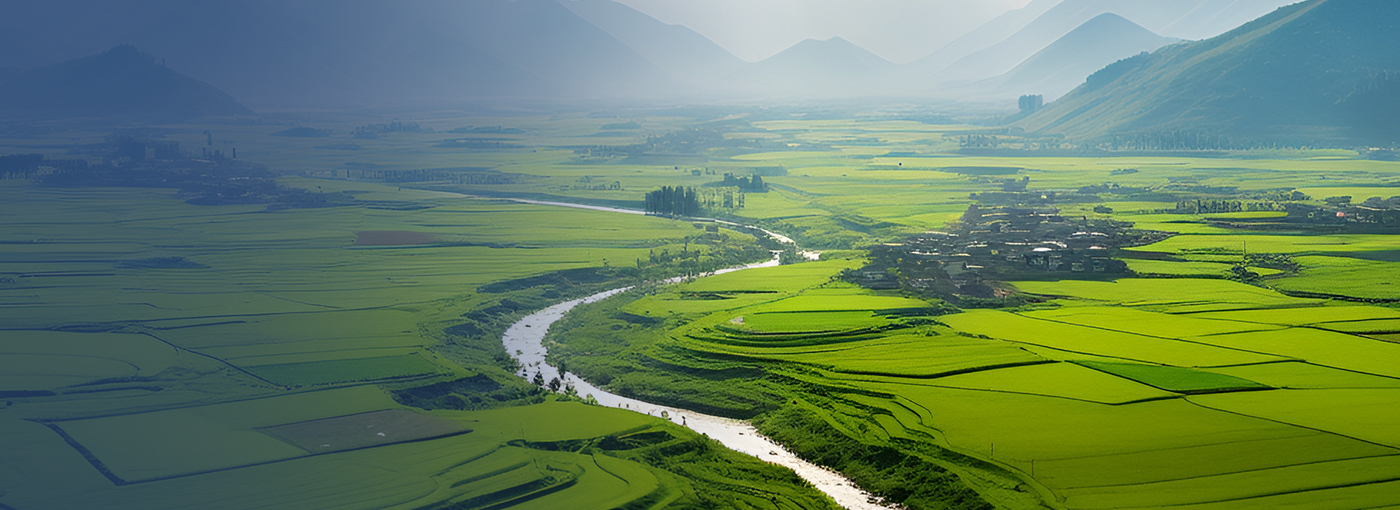 �ط�7790���Ź���