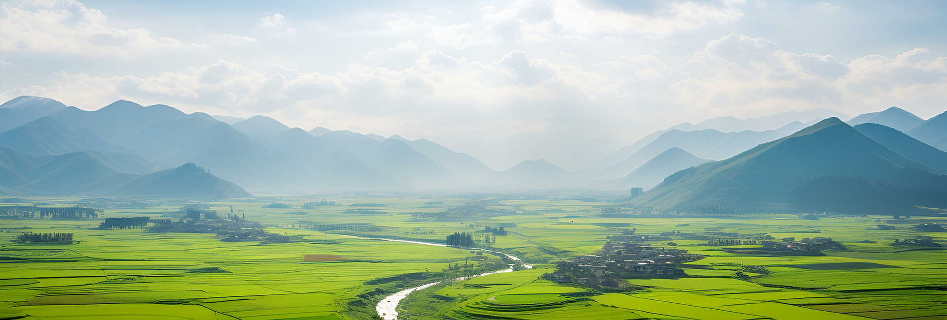 ������̬����