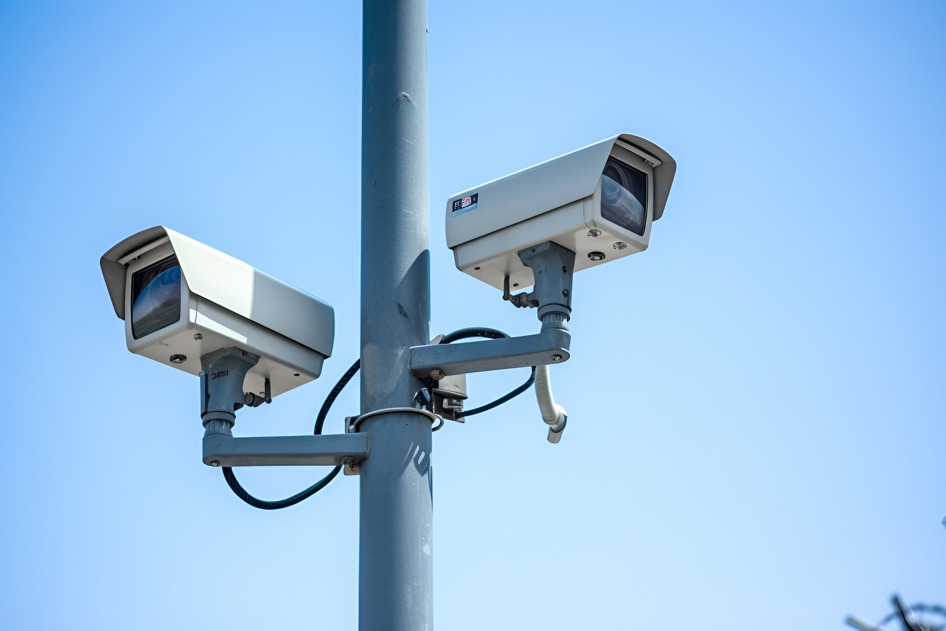 ����ӿƼ���ҵ��