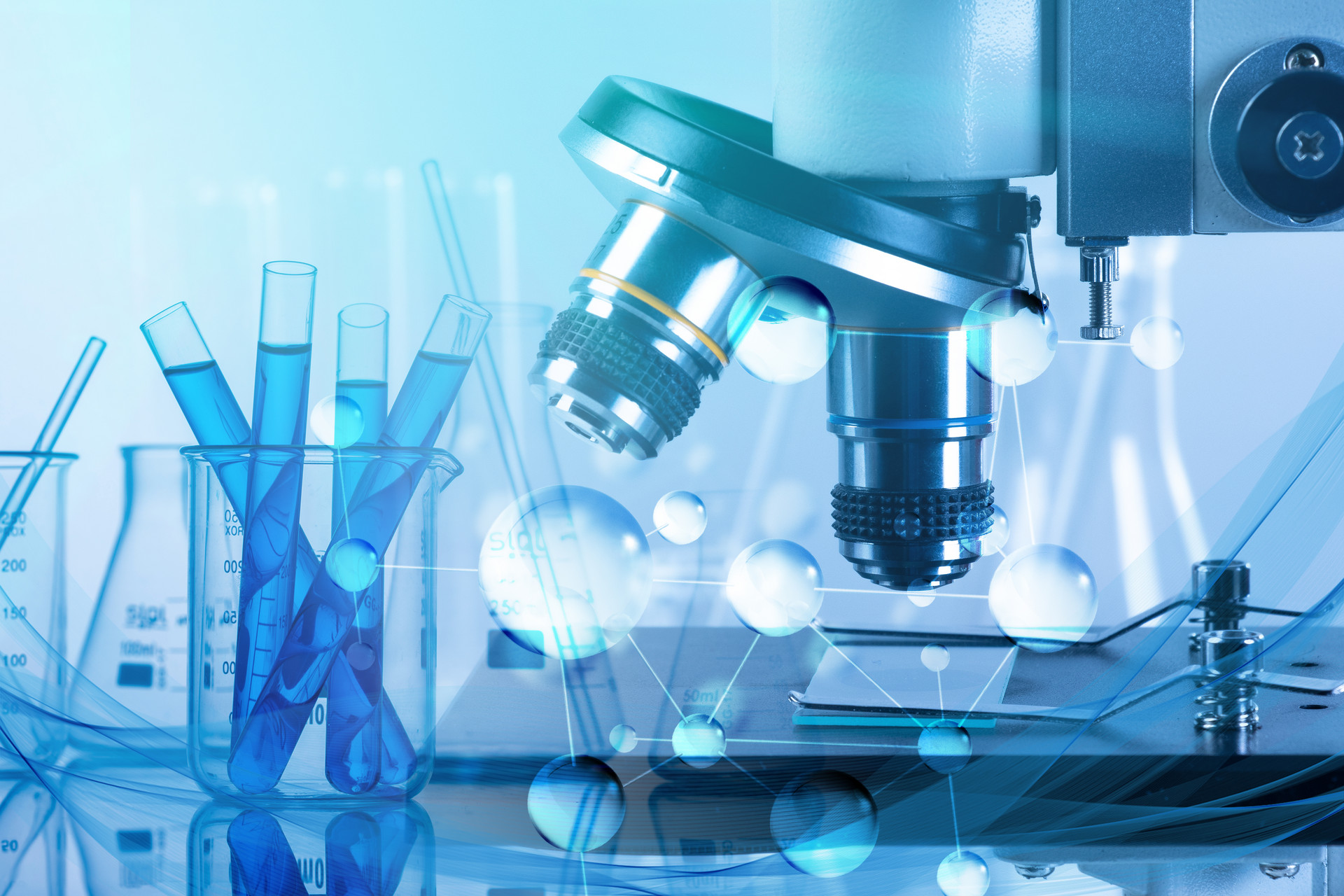 ��ѧ������ҵ��