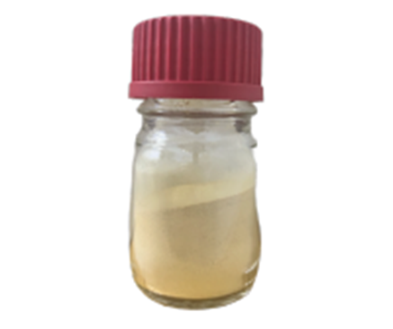 ���ȶ�������