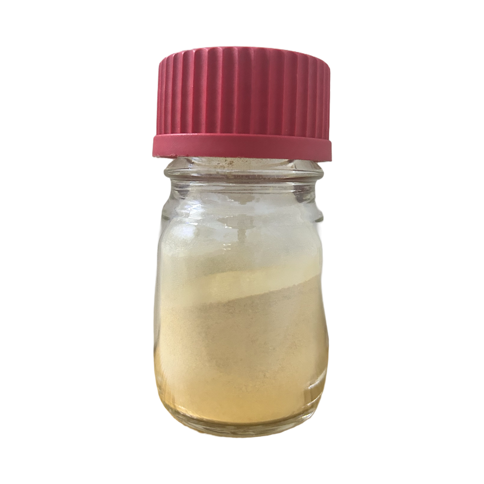 �뵼��Ƽ���ҵ��